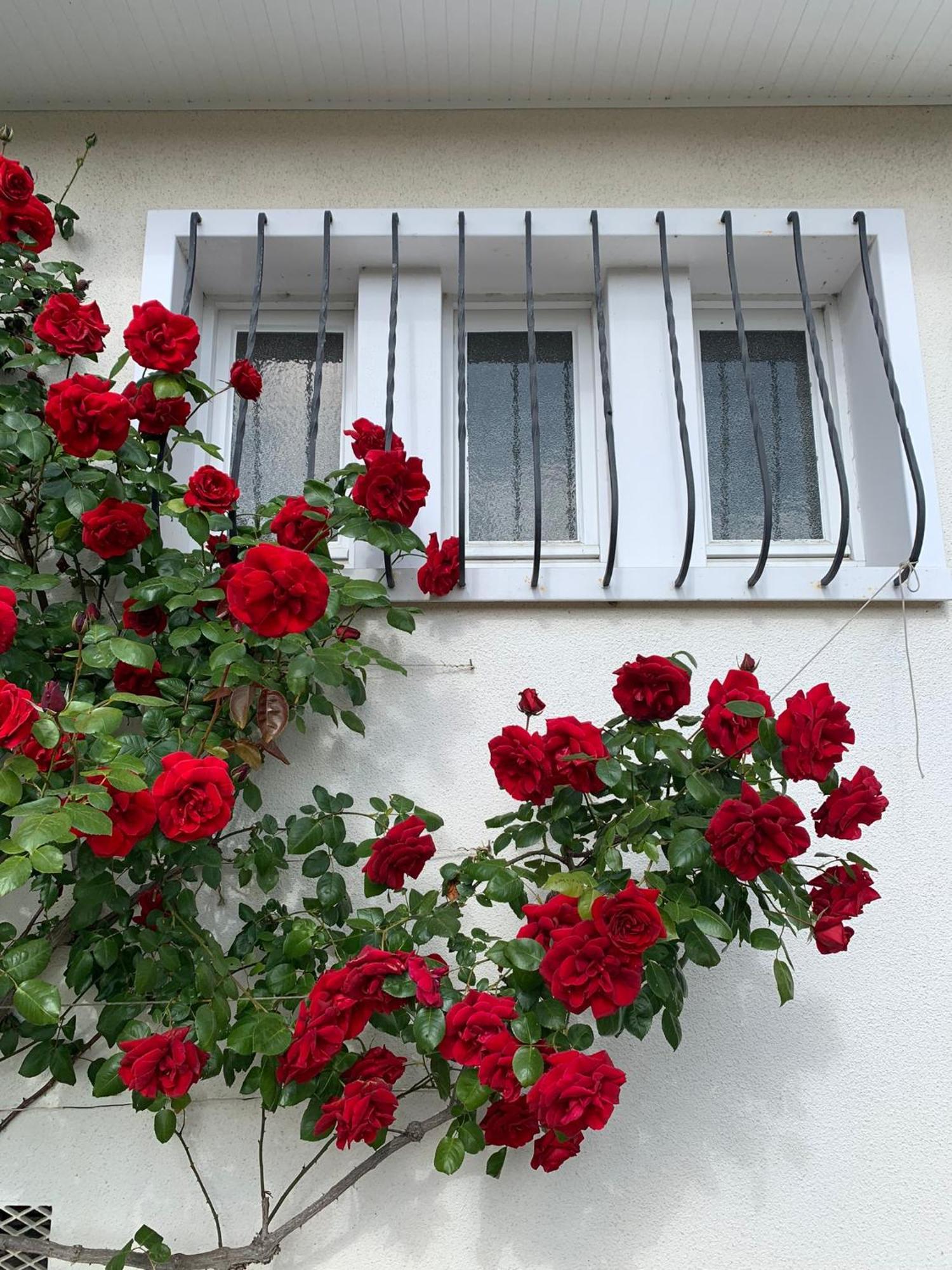 Les Cormiers Villa Chailles  Екстериор снимка